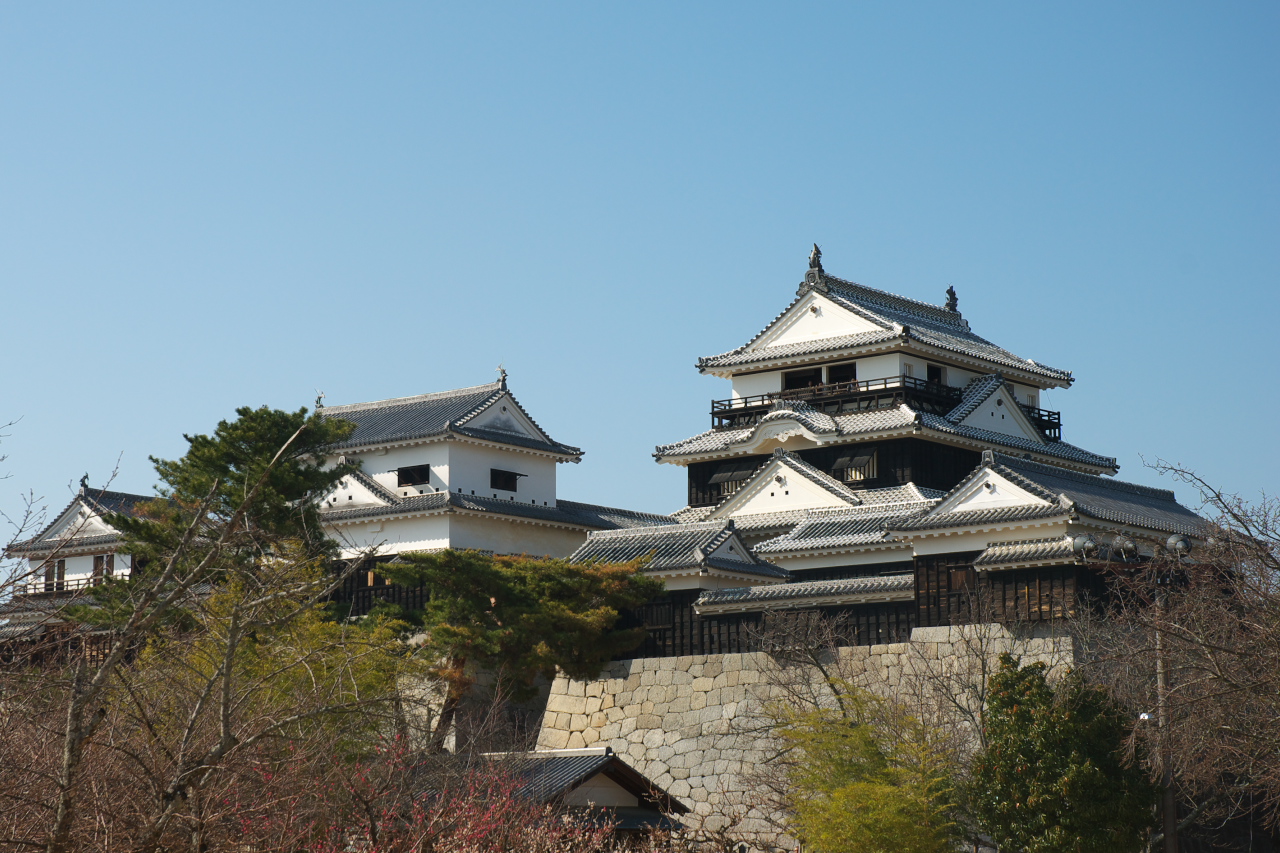松山城 (伊予国)